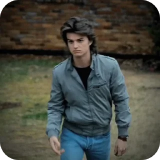 Steve Harrington🍦