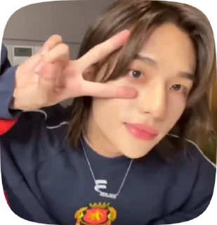 🌟 𝘩𝘺𝘶𝘯𝘫𝘪𝘯::@faymill_xx, стікер Telegram 22 з 22