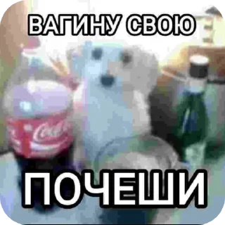 👍 Стики для геев создатель-@adolfew, sticker Telegram 5 sur 79