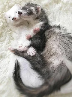 💓 Простите..?, Telegram sticker 6 of 43