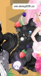 🌟 Чернышка правит миром, Telegram sticker 24 of 56
