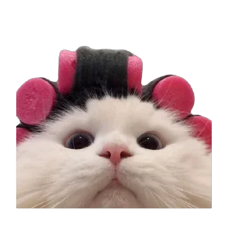 👀 Омагад, Telegram sticker 17 of 53