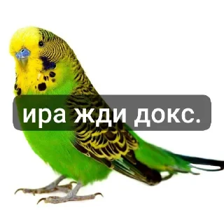 это ещк кере😱🕊️