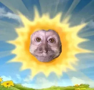 ☀️ БИБИЗЯНЫ, sticker Telegram 18 sur 25