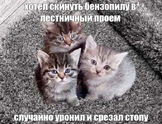 🤡 Котята страх, Telegram sticker 12 of 56