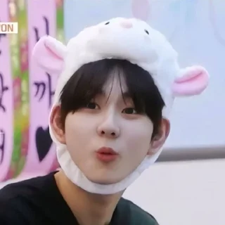 🎀 ☆*:.｡. jungwon.｡.:*☆, Telegram sticker 10 of 30