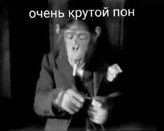 😎 мэн, sticker Telegram 20 sur 42