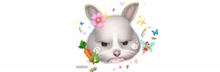 🐰 --- @MINSEOKK99 ૮₍ ˃ ⤙ ˂ ₎ა ., стікер Telegram 14 з 42