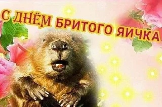 😍 жізо праздникє @smazmik, стикер Telegram 23 из 120