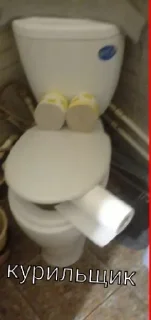 🚽 Rodiosha, стікер Telegram 3 з 65
