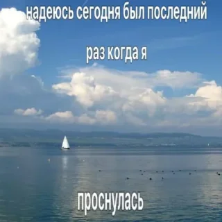 🤗 щитпост, стікер Telegram 16 з 120