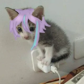 🐱 Кариандер убивает, стикер Telegram 17 из 54