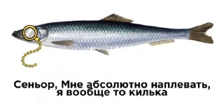 🌟 F1shy, стікер Telegram 10 з 59