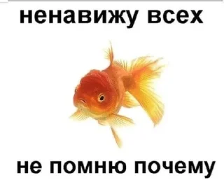 🌟 F1shy, стікер Telegram 14 з 59