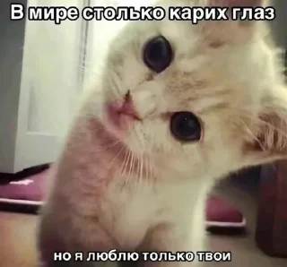 🌟 для настоящей пикми, стикер Telegram 16 из 120