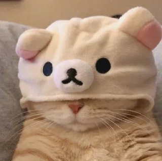 𝐂𝐨𝐧𝐜𝐨𝐦𝐛𝐫𝐞 🦦