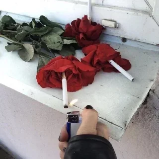 🥀 сижки, Telegram sticker 18 of 18