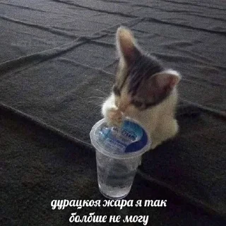 На случай важных переговоров