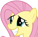 😃 Fluttershy Pony, стикер Telegram 24 из 48