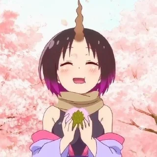 Elma