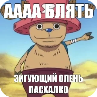 поко шарит