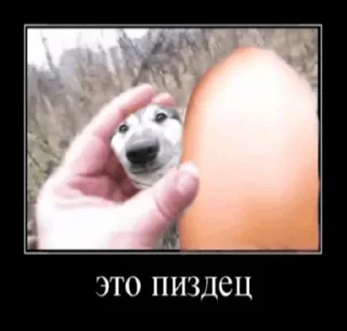 🤯 снюс, Telegram sticker 10 of 120