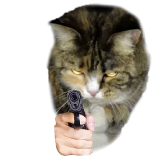 🔫 Котики с пистолетами, Telegram sticker 9 of 11