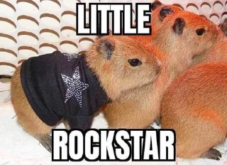👩‍🎤 Капибарочки😍, Telegram sticker 21 of 34