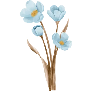 🌟 @olly_mein :: стикеры/эмодзи, Telegram sticker 21 of 25