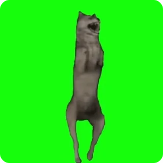 🐺 Katsisisisis, Telegram sticker 11 of 23