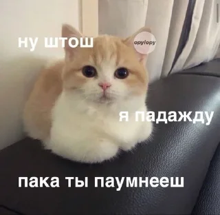 🙃 эм чо.., стикер Telegram 7 из 34