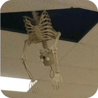 💀 Cool skeletons, Telegram sticker 23 of 46