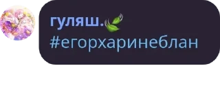 👩‍🤝‍👨 Гуляш гений мира, стикер Telegram 5 из 24