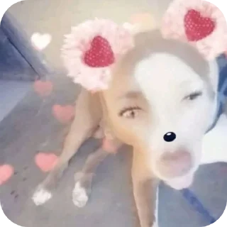 🤲 🤩, стікер Telegram 9 з 26