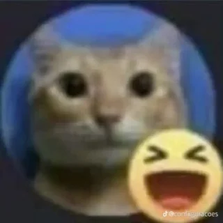 я вахуи