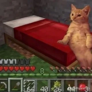 я вахуи