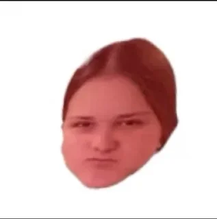 Собаки