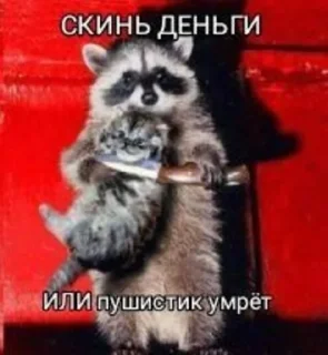 😠 ayra, стікер Telegram 4 з 81