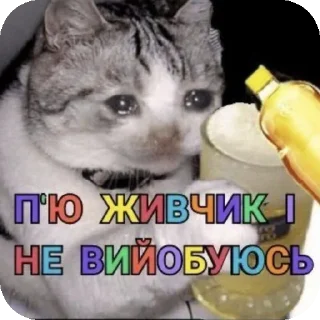 🐱 гей клуб 💊, Telegram sticker 19 of 120