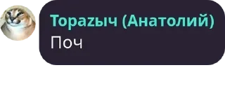 🤨 ♂️Denitza: Ultimate Edition♀️, стікер Telegram 21 з 120