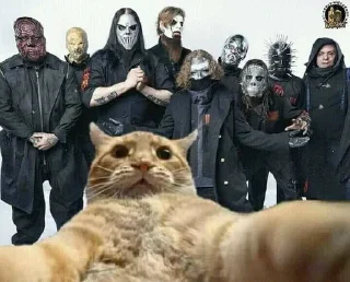 🐱 Чугун, sticker Telegram 24 sur 65
