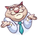 🤷‍♂️ Big Boss Cat, sticker Telegram 7 sur 35