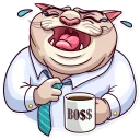 Big Boss Cat