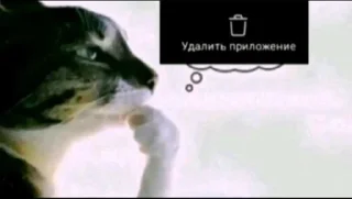 😾 Tik Tok comment:: @nefors11, стікер Telegram 12 з 99