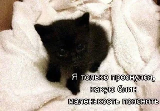 🗿 как жить, стикер Telegram 17 из 26