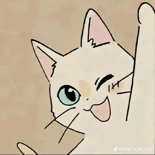 Котики♡