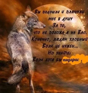 🐺 антисекс, sticker Telegram 13 sur 28