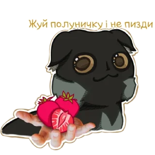 🍓 Сапфіровий Набір t.me/sapfirer, sticker Telegram 9 sur 24