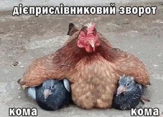 🌟 Посмійтесь(прошу), стікер Telegram 24 з 120