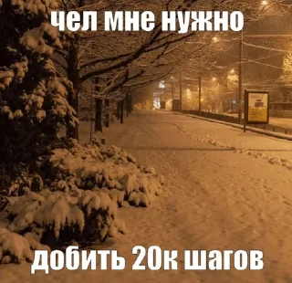 🌟 я спортик ( by khadizha ), Telegram sticker 20 of 25